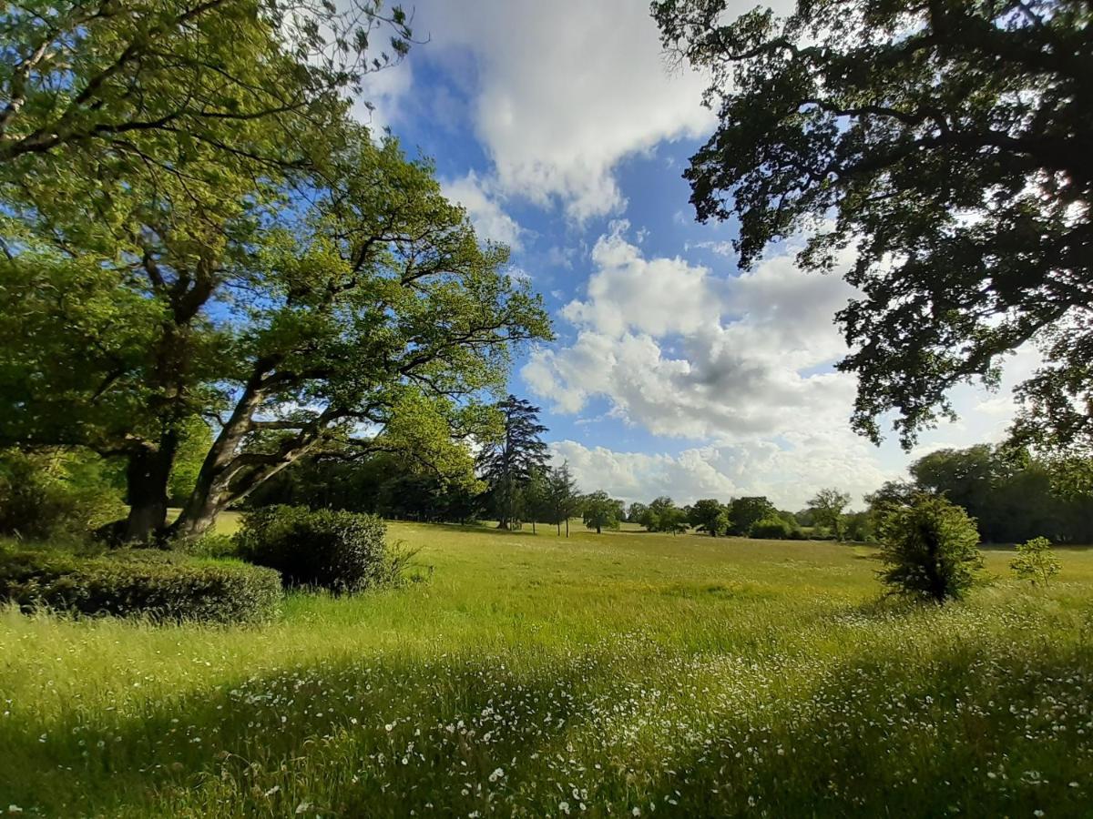 Vila Domaine Des Roches Blanches Le Pin  Exteriér fotografie
