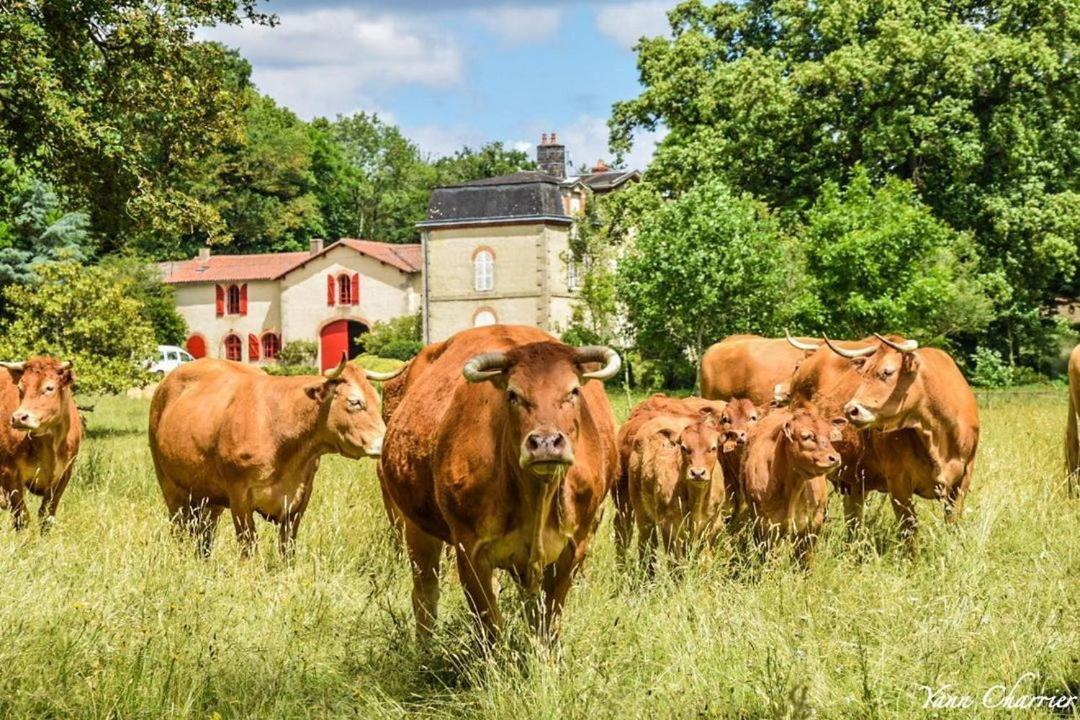 Vila Domaine Des Roches Blanches Le Pin  Exteriér fotografie