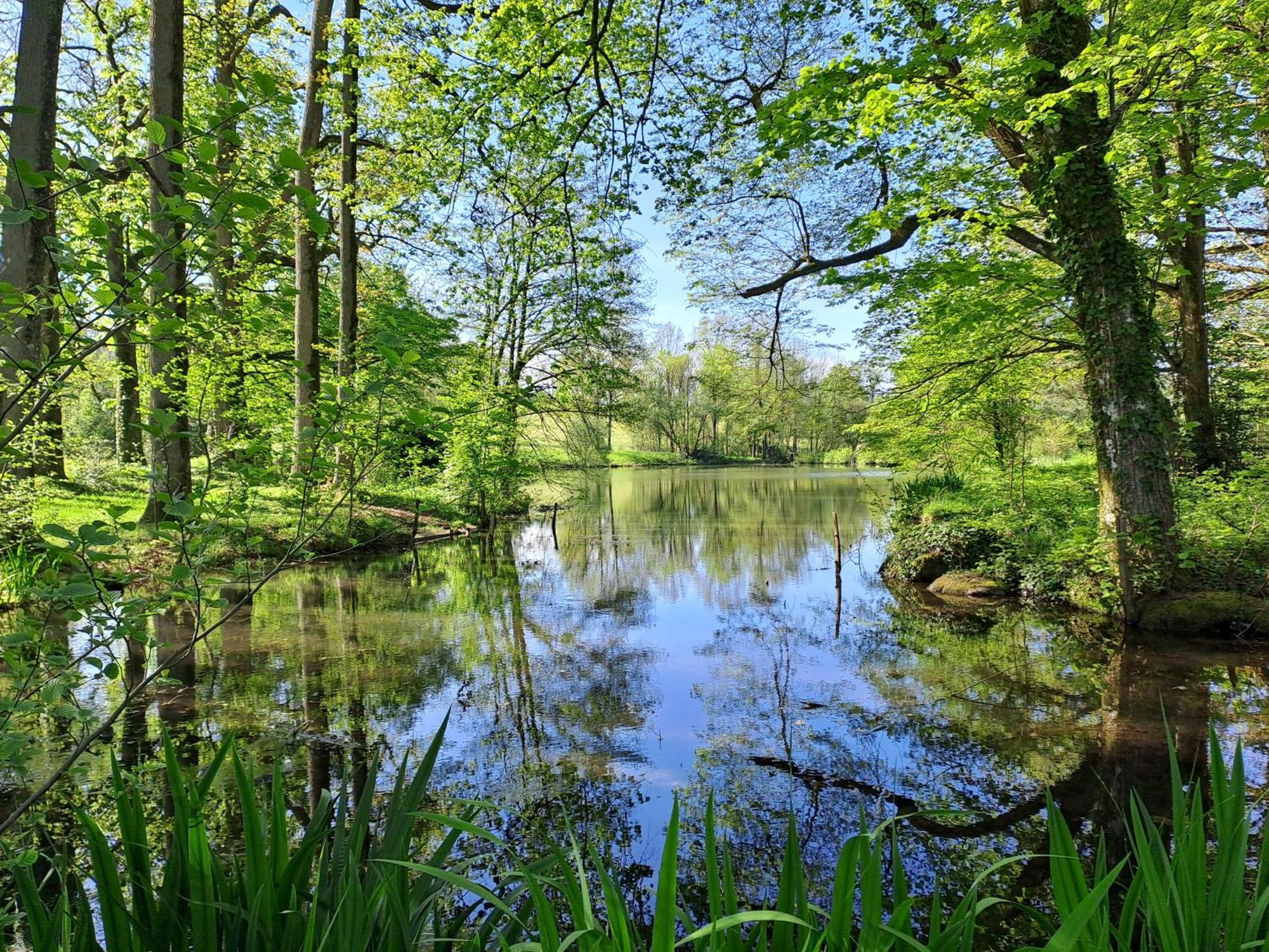 Vila Domaine Des Roches Blanches Le Pin  Exteriér fotografie