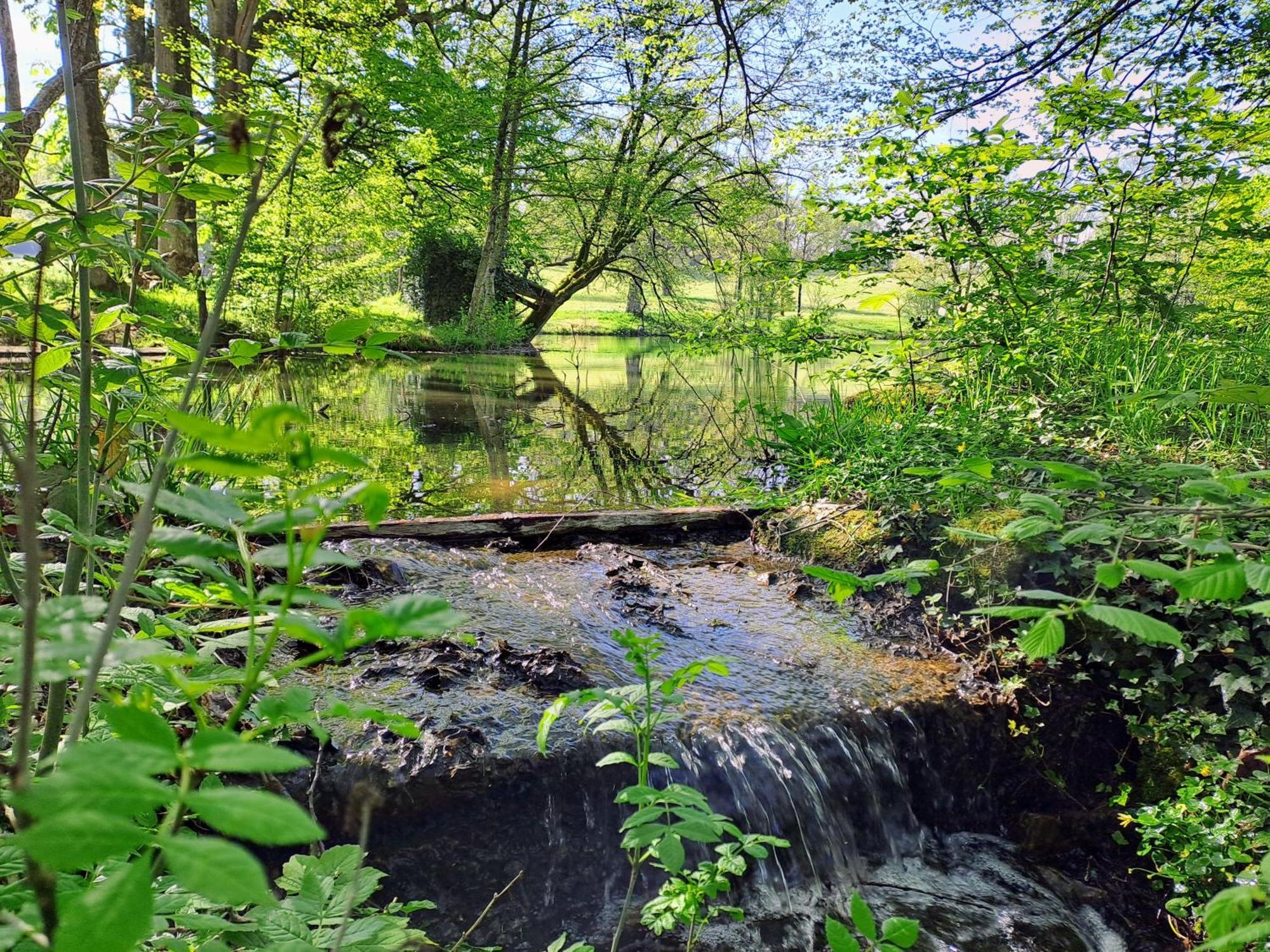Vila Domaine Des Roches Blanches Le Pin  Exteriér fotografie