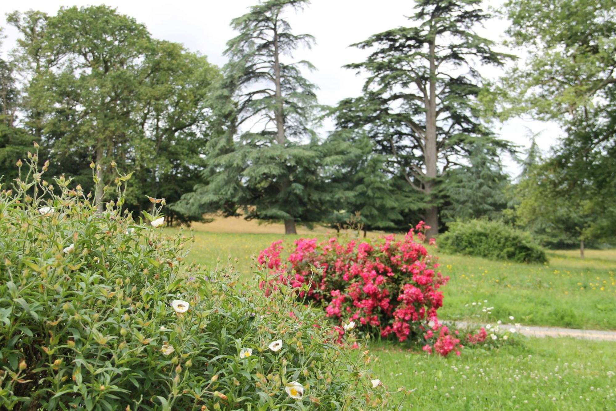 Vila Domaine Des Roches Blanches Le Pin  Exteriér fotografie