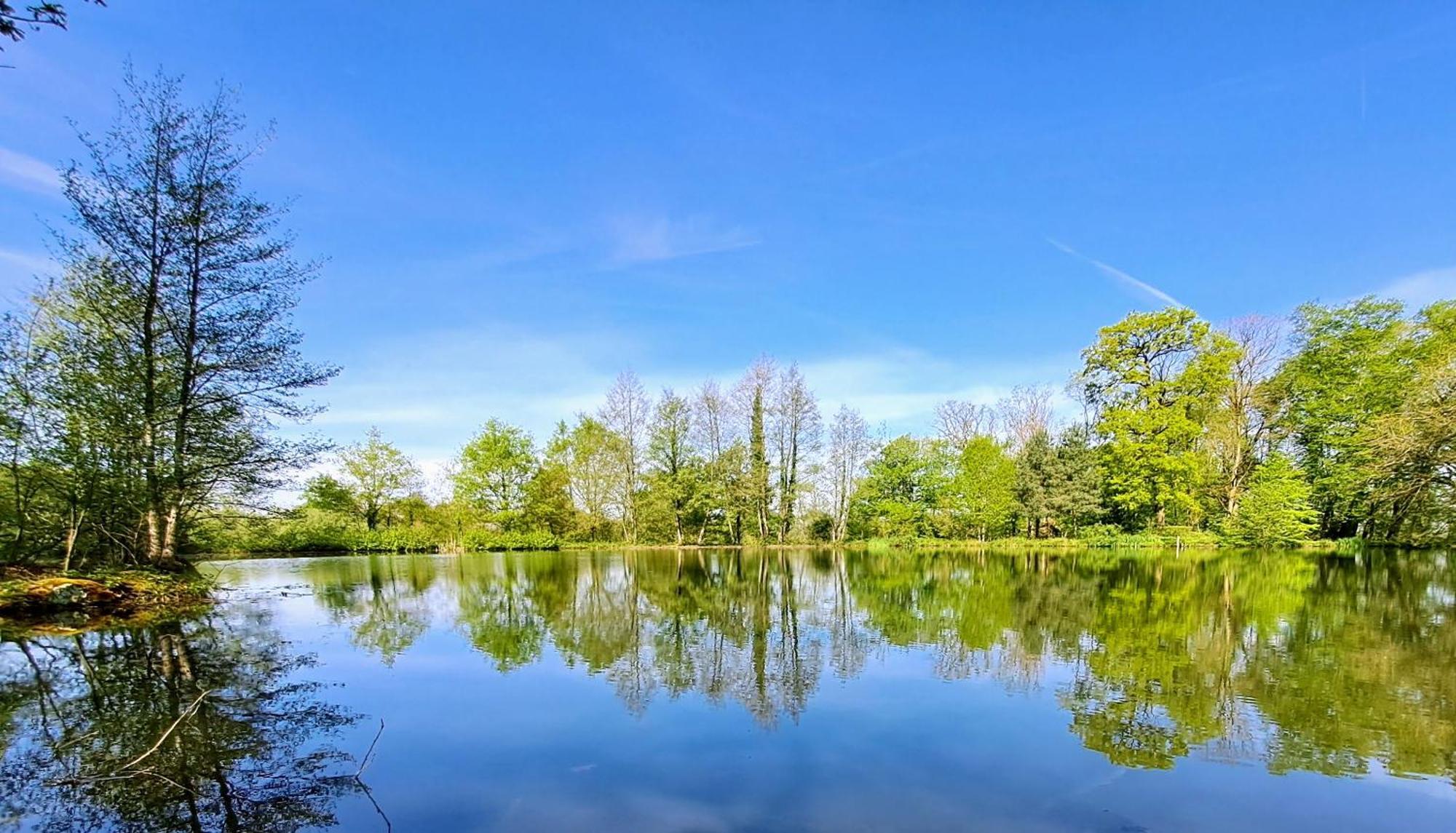Vila Domaine Des Roches Blanches Le Pin  Exteriér fotografie